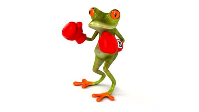 有趣的青蛙拳击