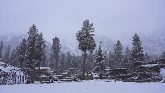 巴基斯坦北部喜马拉雅山喀喇昆仑山、喀喇昆仑山和拉基奥特冰川的仙女草甸国家公园的日出风景，晨雾和雪