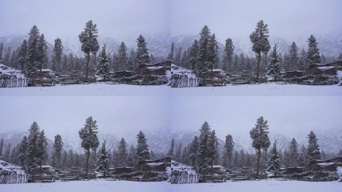 巴基斯坦北部喜马拉雅山喀喇昆仑山、喀喇昆仑山和拉基奥特冰川的仙女草甸国家公园的日出风景，晨雾和雪
