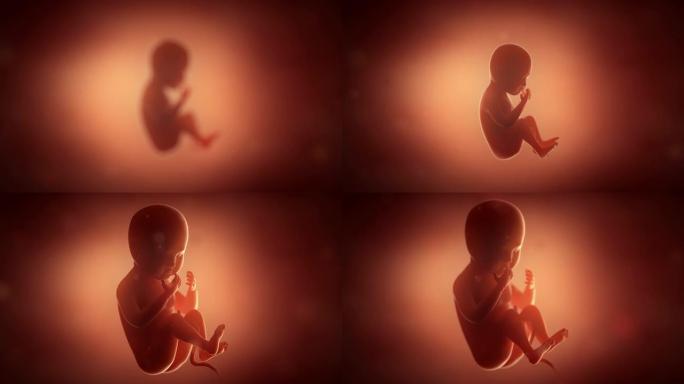 胎儿婴儿移动怀孕概念