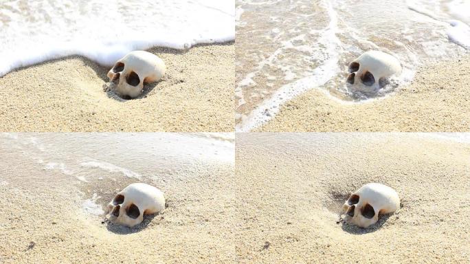 沙滩上的人类头骨