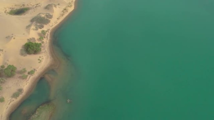 中国新疆尉犁县塔里木河风光航拍视频.