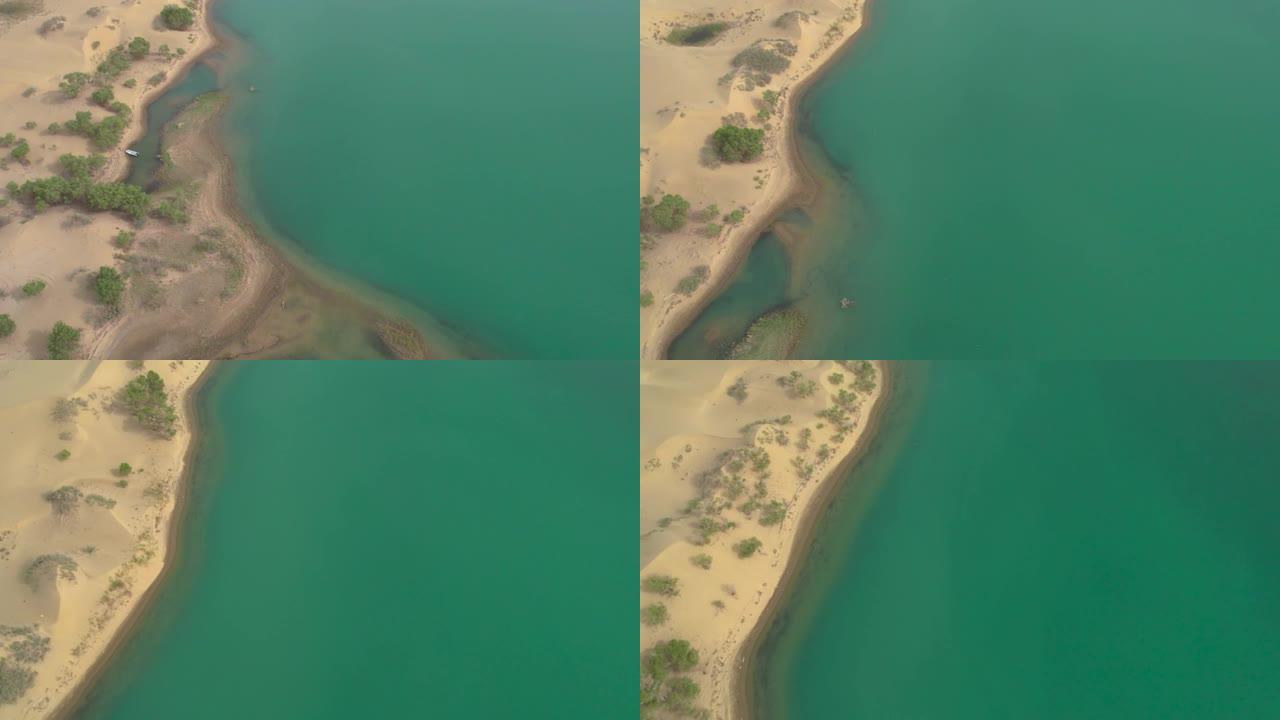 中国新疆尉犁县塔里木河风光航拍视频.