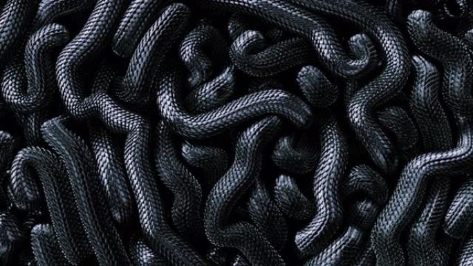 金属纹理龙鳞背景。活泼的盘绕黑蛇。交错蛇的3D抽象背景。爬行动物运动的特写。