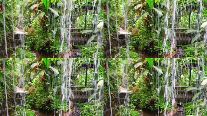 大自然的宁静: 宁静的热带花园和溪流。