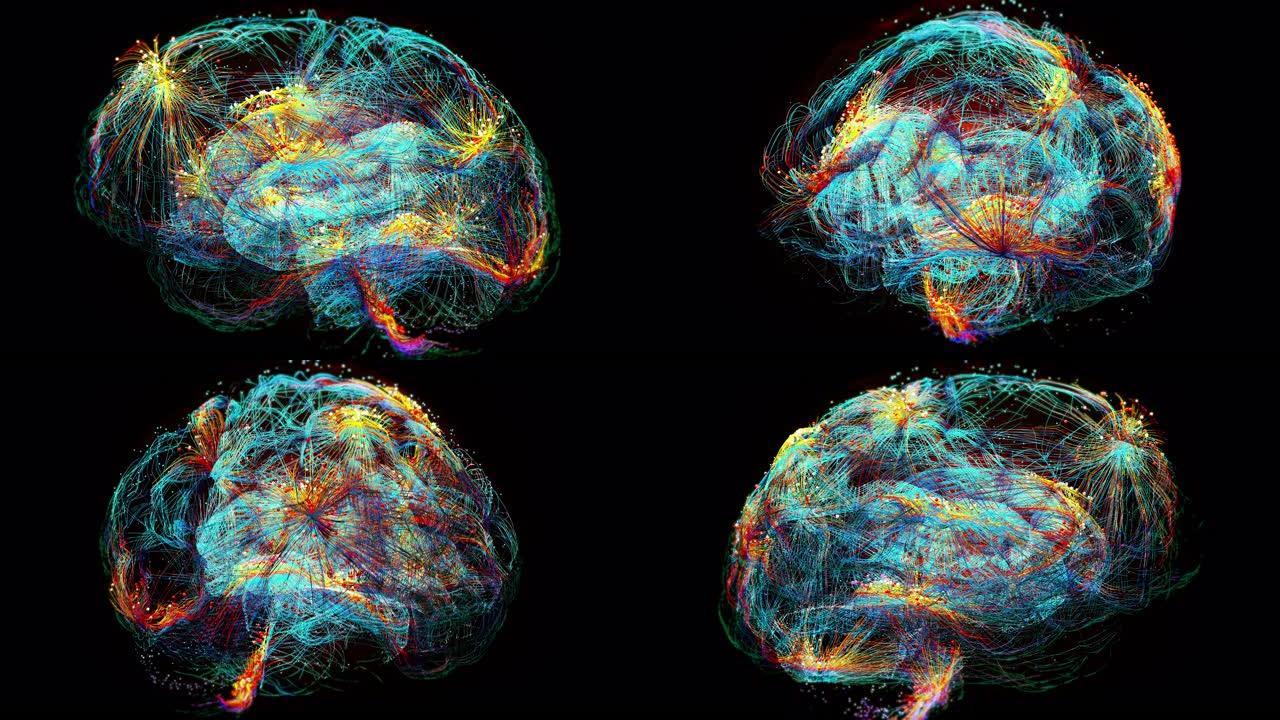 人脑损伤最强大脑部元宇宙头脑数据神经