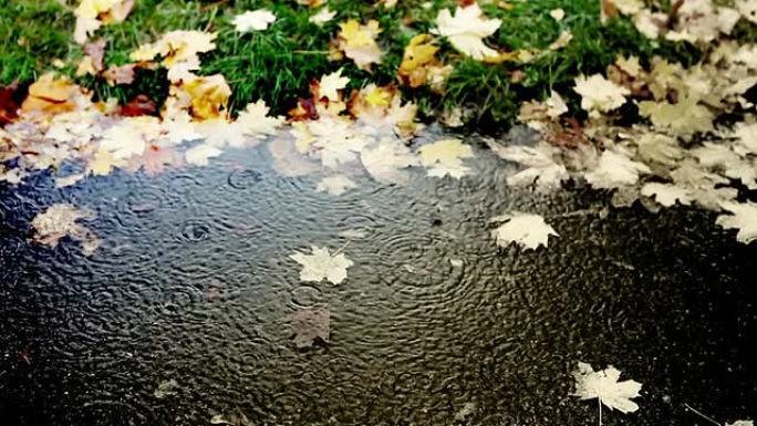 快乐的雨滴落在寒冷的秋天的水坑中
