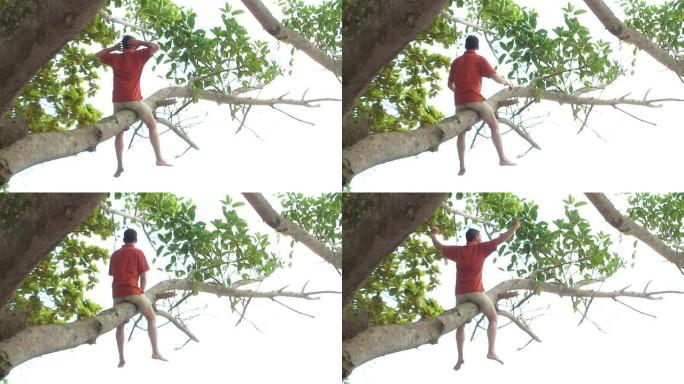 高清: 男人在树上放松