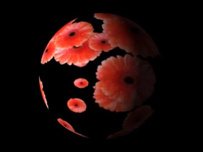 球体中的红色花朵-数字动画