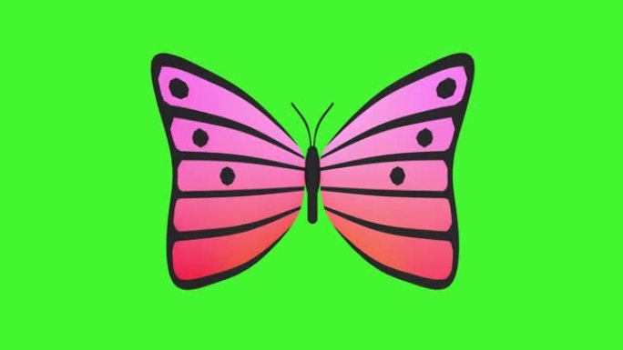 抽象的蝴蝶飞翔，在绿色的屏幕上拍打翅膀。粉红色彩虹色翅膀的蝴蝶。3D循环动画