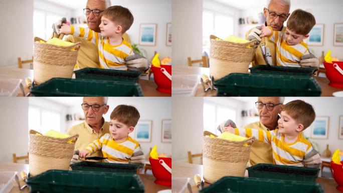 在祖父的帮助下，男孩用堆肥装满了锅