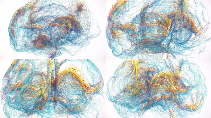 人脑最强大脑部元宇宙头脑数据神经