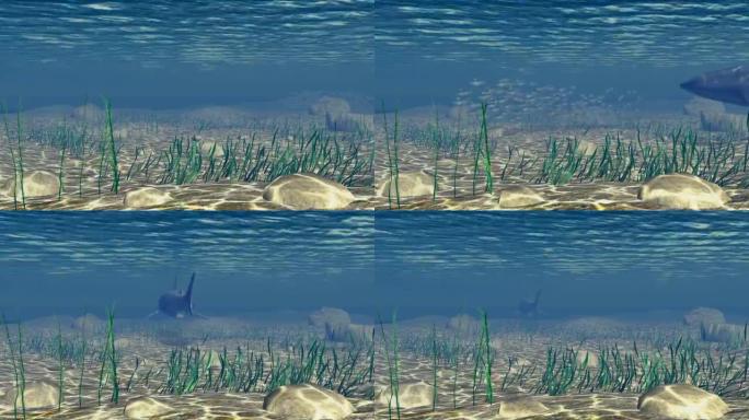 海洋场景3D动画高清1080