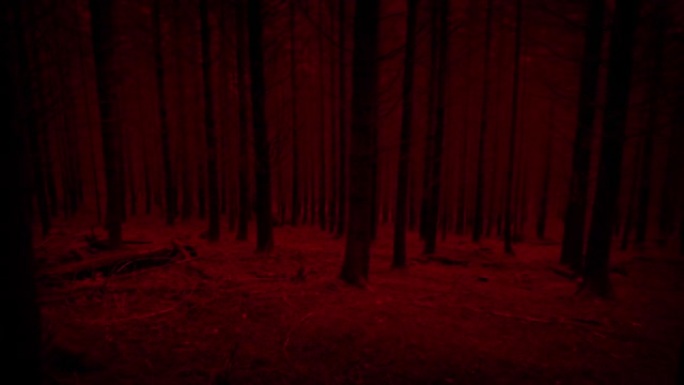 可怕的红色POV在黑暗的树林中向下移动