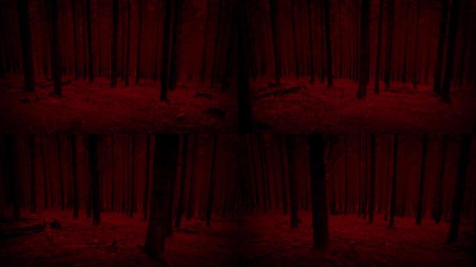 可怕的红色POV在黑暗的树林中向下移动