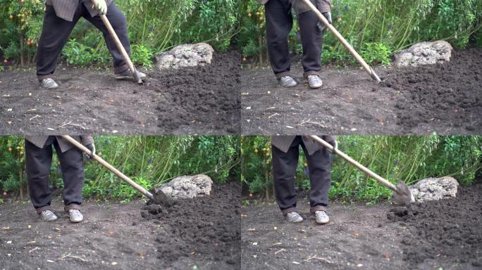园丁采收后挖土整备。园艺。农园工作理念