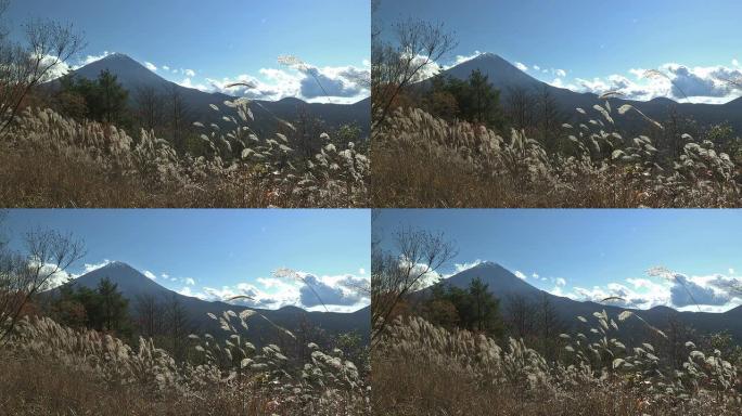 日本山梨富士山的秋季景观