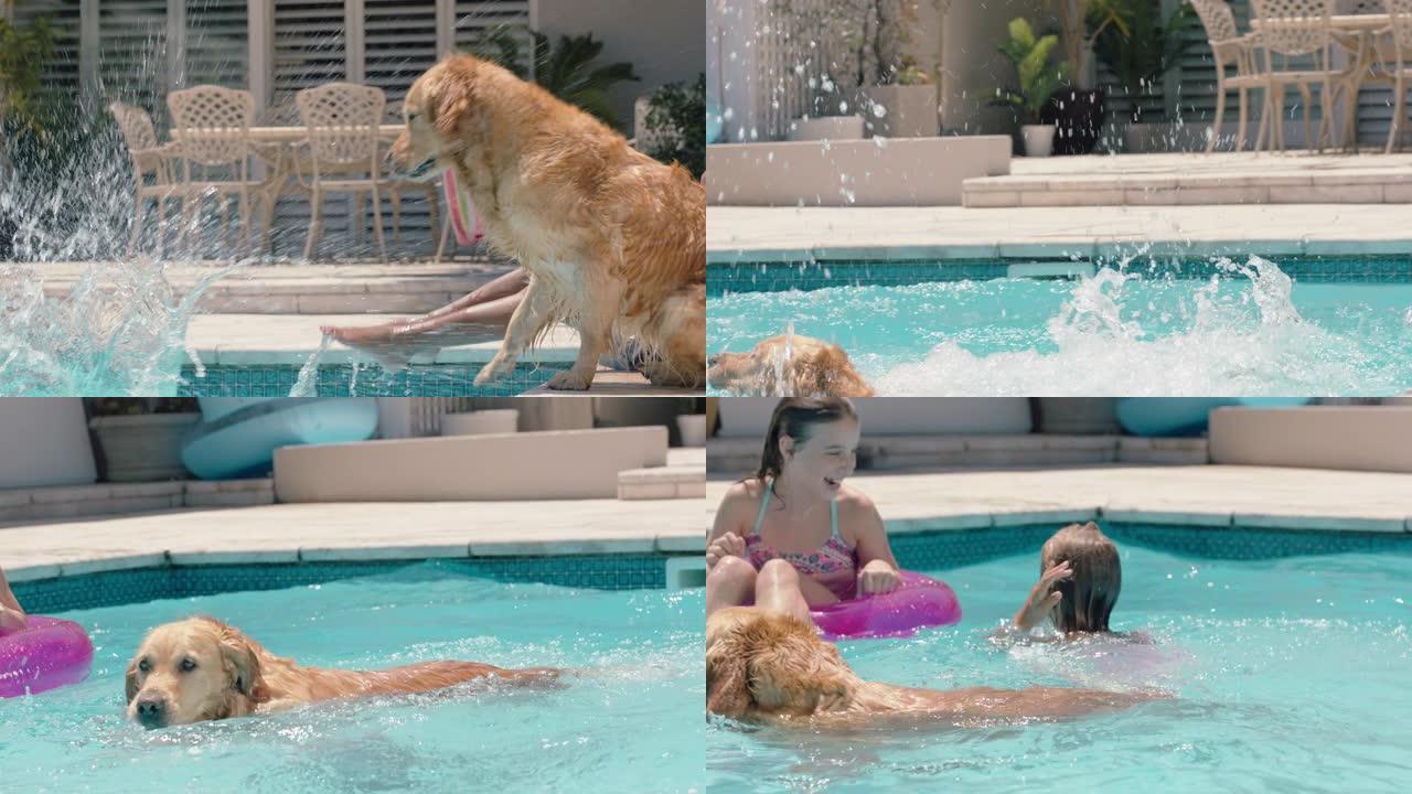 有趣的小女孩跳进游泳池，把朋友溅到游泳管上，顽皮的狗和孩子们玩得开心，享受夏日4k