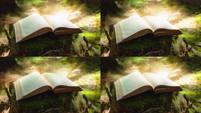 用照明弹打开书。神秘的印刷书与一个神奇的故事。学习是光明，无知是黑暗。古代经文中的图文。绿色自然背景