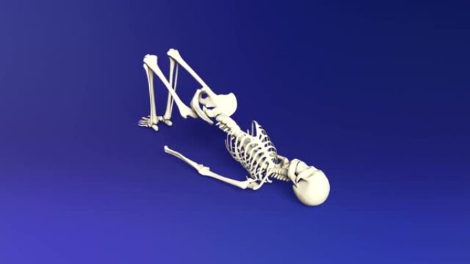 人体骨骼的桥梁姿势
