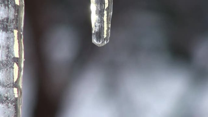 水滴从冰柱上掉下来