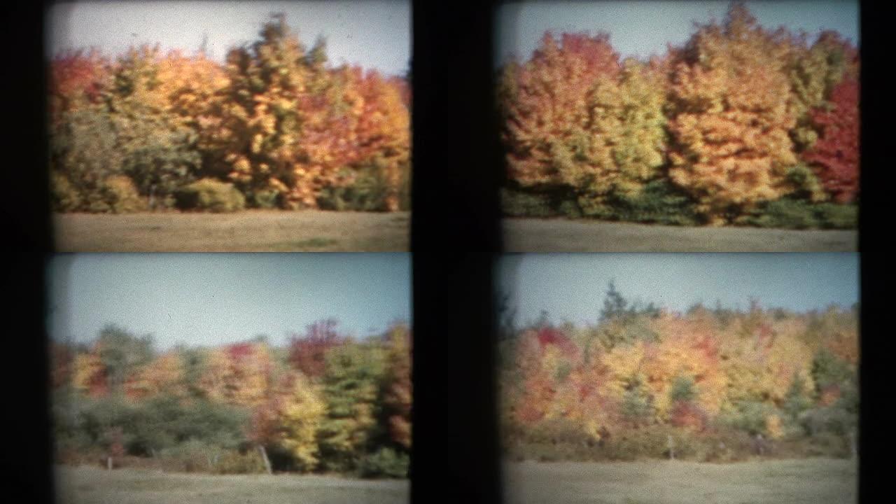 8毫米复古-60年代秋季彩盘