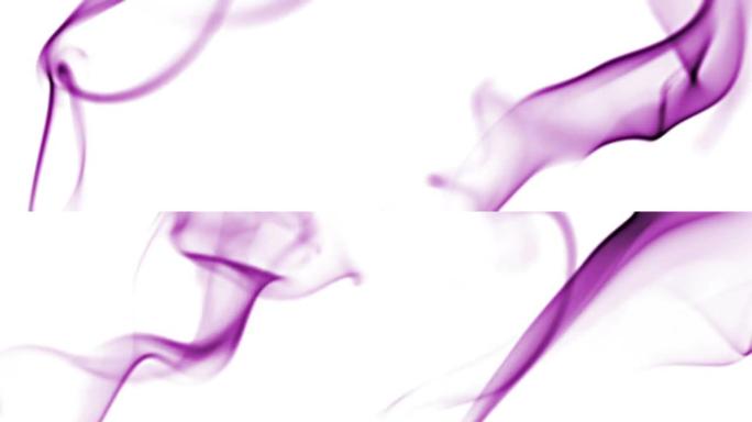白色紫色香
