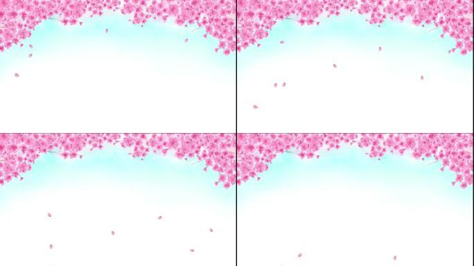 樱花背景手绘插画动画视频花瓣散开