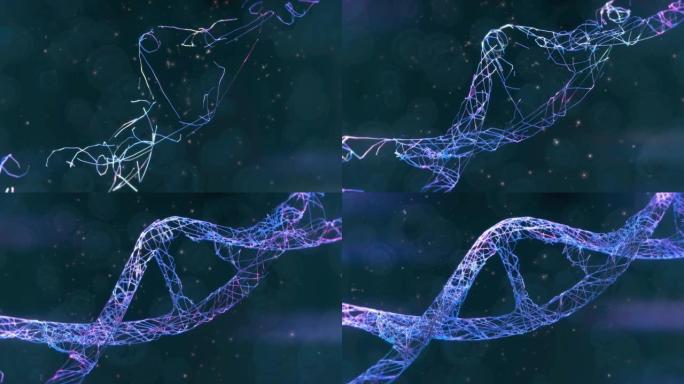 DNA结构DNA分子双螺旋结构分子动画模