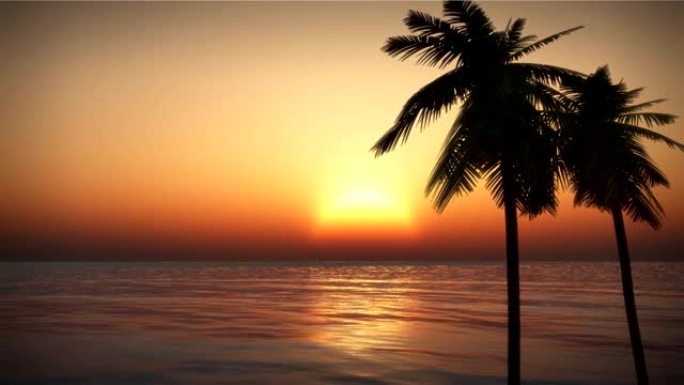 最佳热带岛屿海浪日落棕榈滩巡航循环