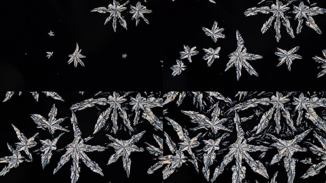 偏光显微镜下碳酸盐的结晶就像一朵由金属制成的花