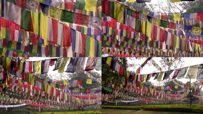 带有佛教祈祷旗的树木。佛陀出生地在尼泊尔蓝毗尼