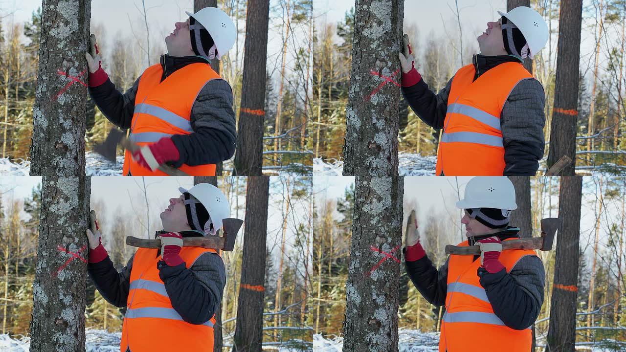 冬季树木附近森林中的伐木工