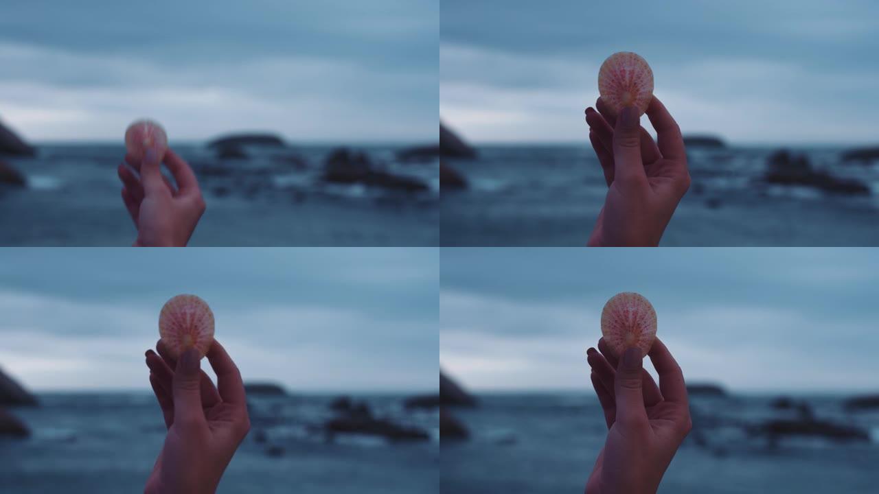 多云海滨海滩上手持贝壳的特写