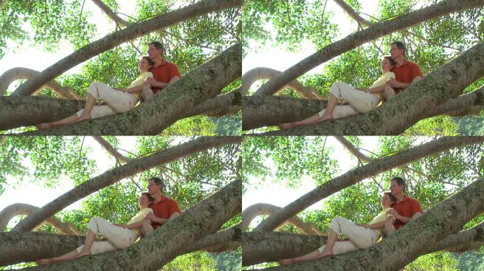 高清: 夫妇坐在热带树上