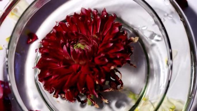 红花在盛满水的碗里，桌面旋转视图
