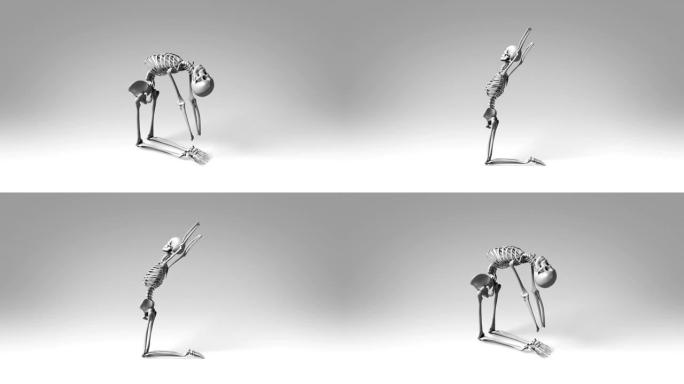 人体骨骼的瑜伽骆驼姿势