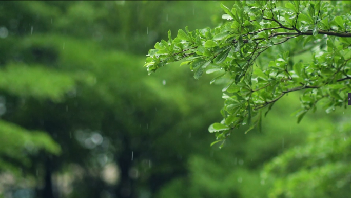 下雨空镜素材