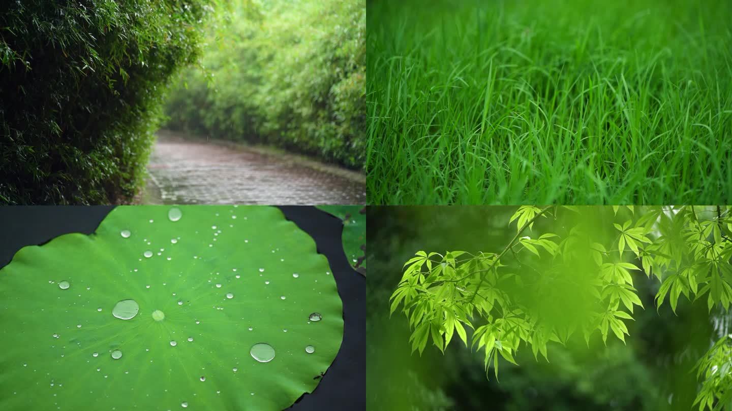 下雨空镜素材