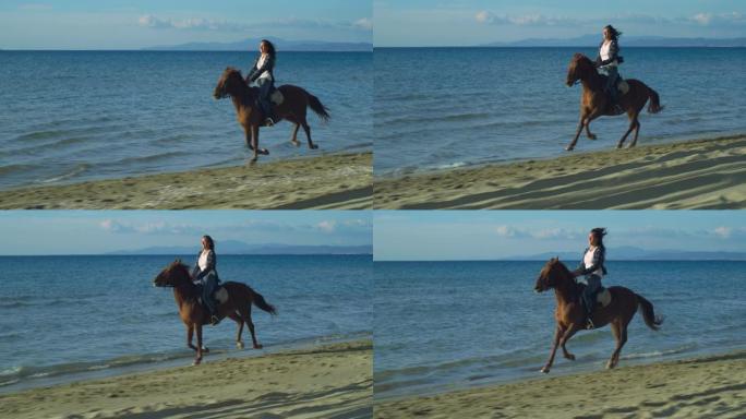 一个穿着便装的美丽幸福女人的肖像骑着奔腾的马在海边，背景是明亮的蓝天。女性马术享受自由和清新的微风