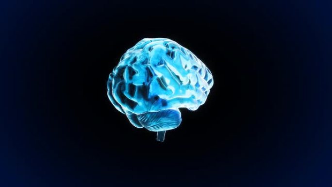 X射线大脑3d