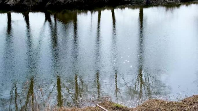 冬末早春倒影湖山白蜡水干草无生命气息清新抽象奇迹景观春汛。