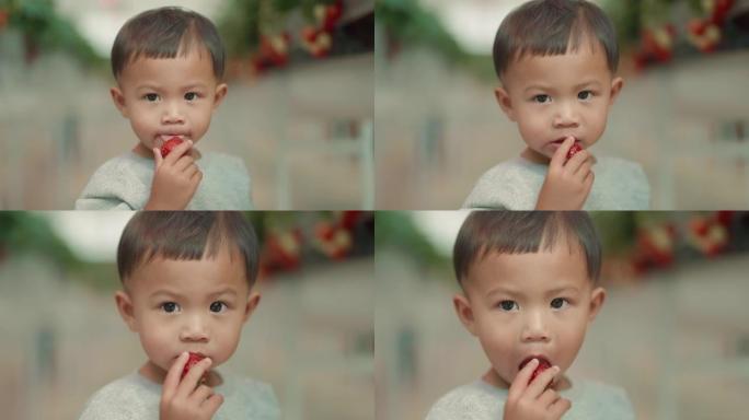 快乐男孩在温室里吃红色美味草莓的肖像。教育。学。健康饮食。