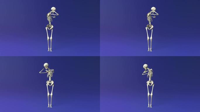 伸展和锻炼人体骨骼系统