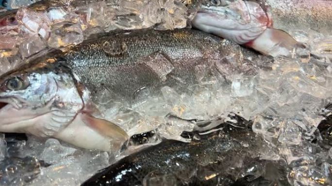 杂货店柜台上的冰面上的新鲜生多拉多鱼和鲈鱼的特写镜头。