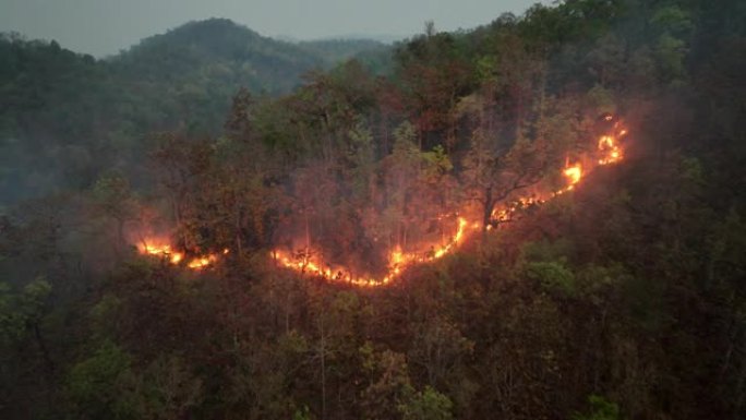 气候变化，野火会释放二氧化碳 (CO2) 排放和其他温室气体 (GHG)，这些气体会导致气候变化和全