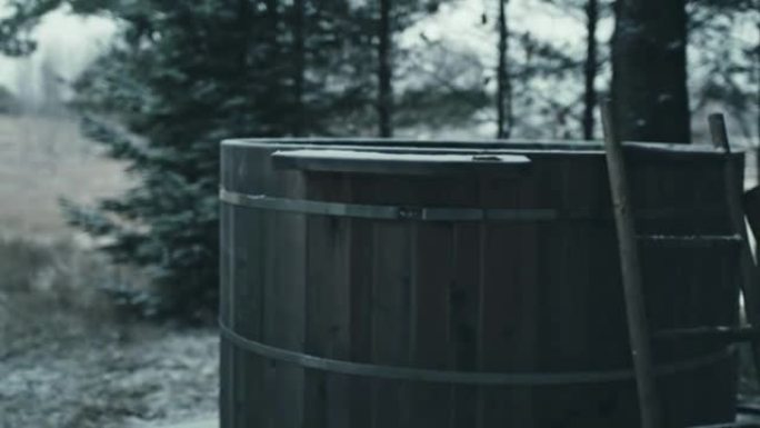 森林背景库存视频中的木制桑拿