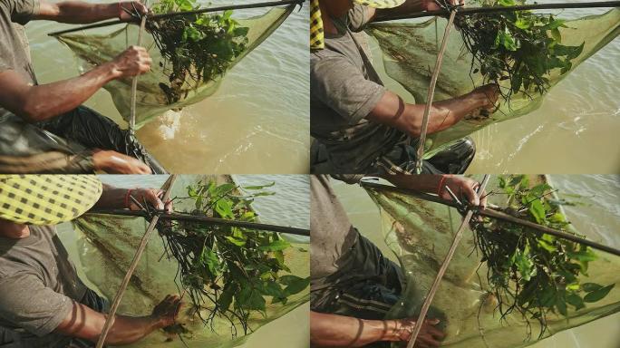 对虾渔夫从河中拉出落网并捕获对虾的特写镜头