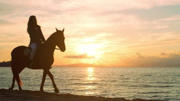 日落时在海边海滩上骑走马的女人的剪影的电影镜头。女性马术享受她的幸福、乡村生活方式和自然。自由概念