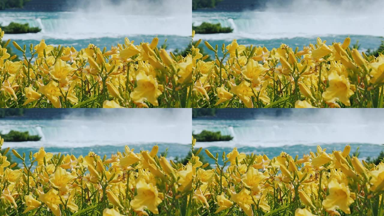 尼亚加拉瀑布，前景是黄色的花朵